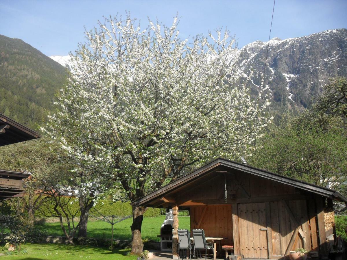 Ferienhaus Zangerl Daire Oetz Dış mekan fotoğraf